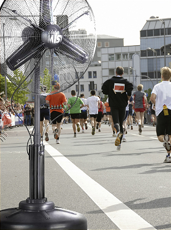 auramist at race